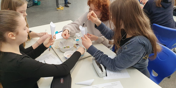 Girls at the MinTU workshop