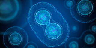 Cell division Symbolic picture of cell division