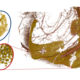 3D visualisation of human neuronal tissue reconstructed by multi-scale X-ray phase contrast tomography. Neuronal cell nuclei are shown in yellow for the granule neurons in the dentate gyrus region of the hippocampus. Blood vessels are shown in red. By changing the X-ray optical magnification in the multi-scale recordings, one can zoom   into regions-of-interest (red ovals). In these scans the resolution is high enough to resolve sub-structures of the nucleus, associated with different DNA packing regimes. Adapted from [6]