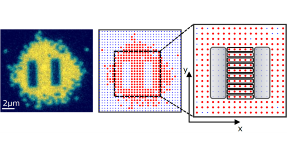 Many-body quantum phases in programmable light potentials - Physik - TU ...
